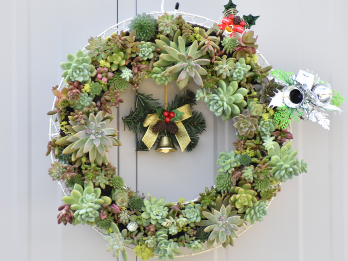 多肉のリース 完成