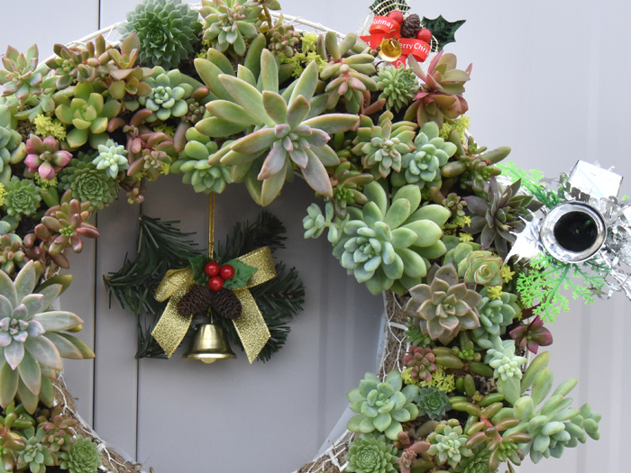 多肉のリース 完成 アップ画像